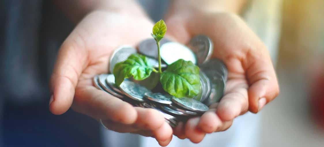 Quel est le classement des meilleures banques éthiques ?