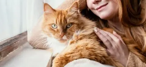 Peut-on souscrire une assurance chat sans limite d’âge ?